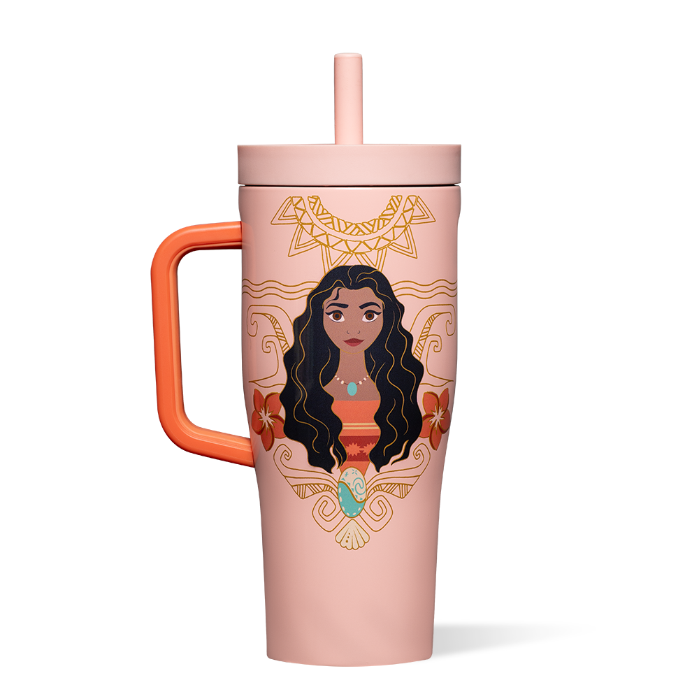 disney-princess-leakproof-cruiser-f1 DIS2222DP-M-01.png